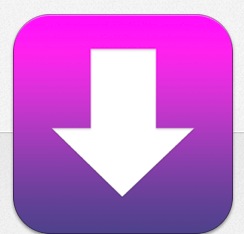 Download Manager Pro