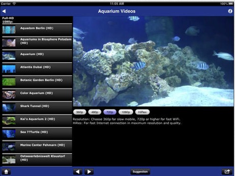 Aquarium Videos