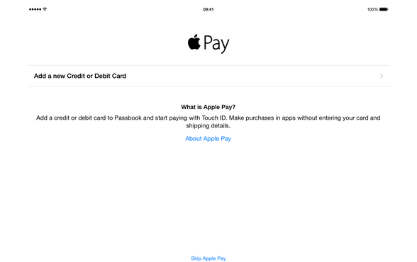 Apple Pay iPad