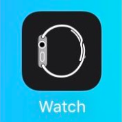 icono Apple watch iOS 9