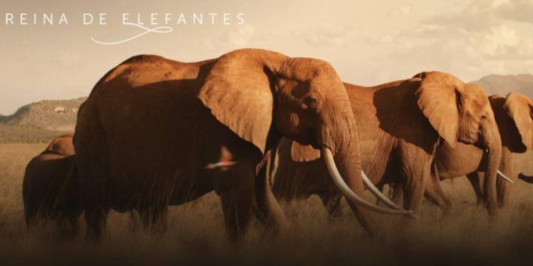 Reina de los elefantes - Documental Apple TV Plus