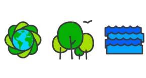 Reto del Día Mundial del Medio Ambiente 2020