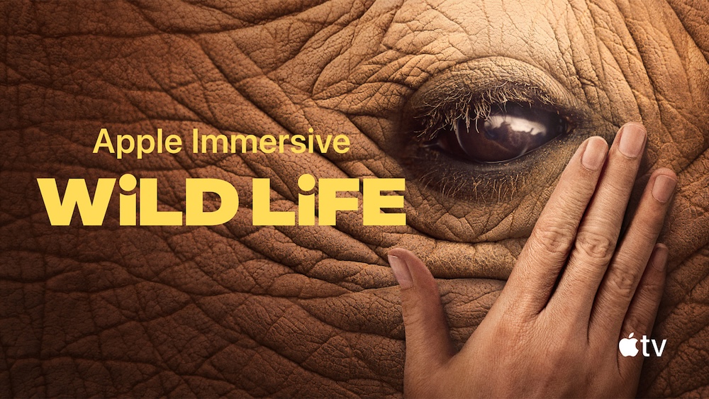 Wild Life en Vision Pro 